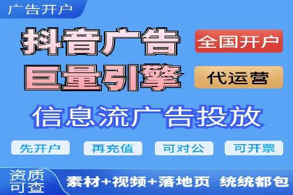 搜索引擎营销（SEM）的投放策略与效果评估——以某行业领先企业的案例分析